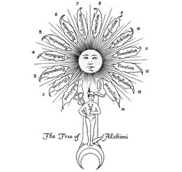 The Tree of Alchemi