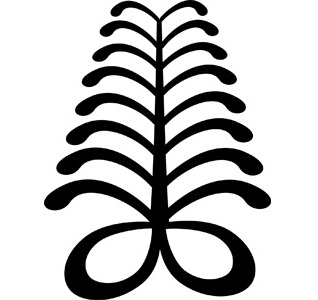 Fern