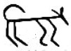 The Coyote Symbol