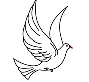 Dove