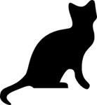 The Cat