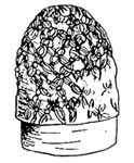 Omphalos
