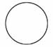 The Circle