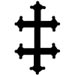 Cross Fitchy (Cross fitchée)