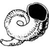 Shofar