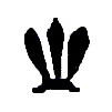 Feathers Symbol