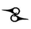 Hummingbird Symbol