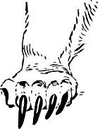 The Bear Track Symbol