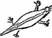 Gila Monster Symbol