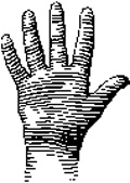 Hand