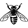 Bees, Beehives