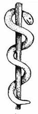 The Asclepius Wand