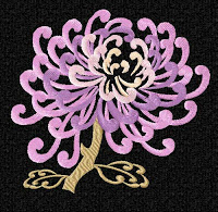 Chrysanthemum