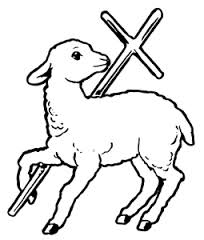 Lamb