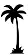 Palm