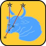 Bull Constellation
