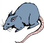 Myanmar-Burmese Zodiac Animal Sign