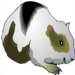 Myanmar-Burmese Zodiac Animal Sign