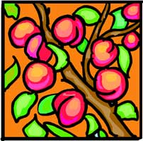 Chinese Flower Symbol - Peach