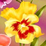 Pansy Flower