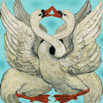 Swan