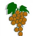 Grapes/Grapevines