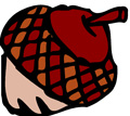 Acorn