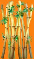 Bamboo