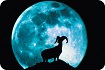 Snow Moon