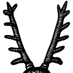 Horns