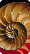 Spiral