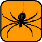 Halloween Spiders