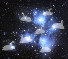 Samhain and the Seven Swans of Virtue