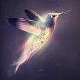 Bird Dream