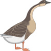Goose
