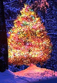 Symbolic Meaning of the Christmas Tree